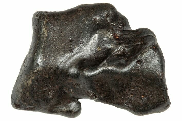 Fusion Crusted Sikhote-Alin Iron Meteorite ( g) - Russia #333105